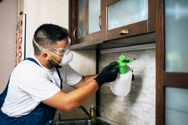 Pest Prevention Services in Orange, TX
