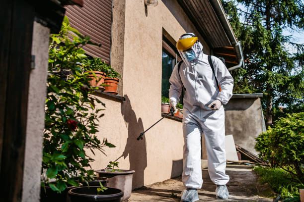 Best Pest Prevention Services  in Orange, TX