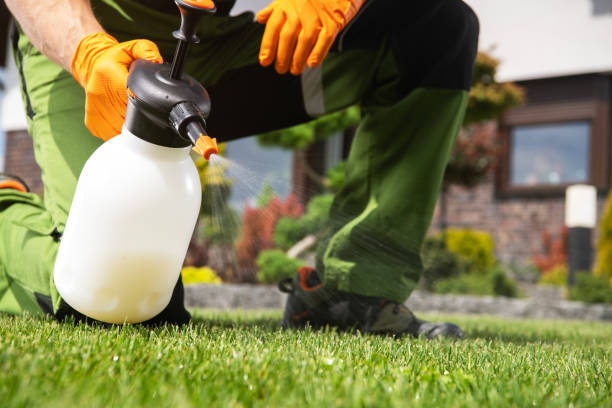 Trusted Orange, TX Pest Control Experts