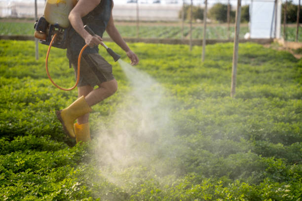 Best Pest Prevention Services  in Orange, TX