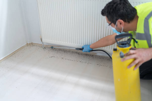 Best Best Pest Control Companies  in Orange, TX