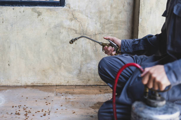 Best Pest Removal Services  in Orange, TX