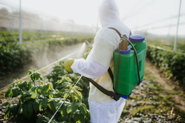 Best Mosquito Control Services  in Orange, TX